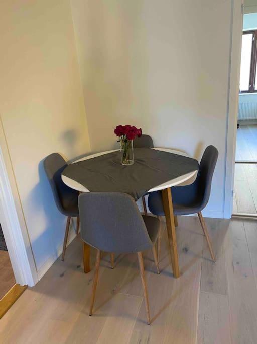 Moderne Leilighet Midt I Sentrum Av 프레드릭스타드 외부 사진