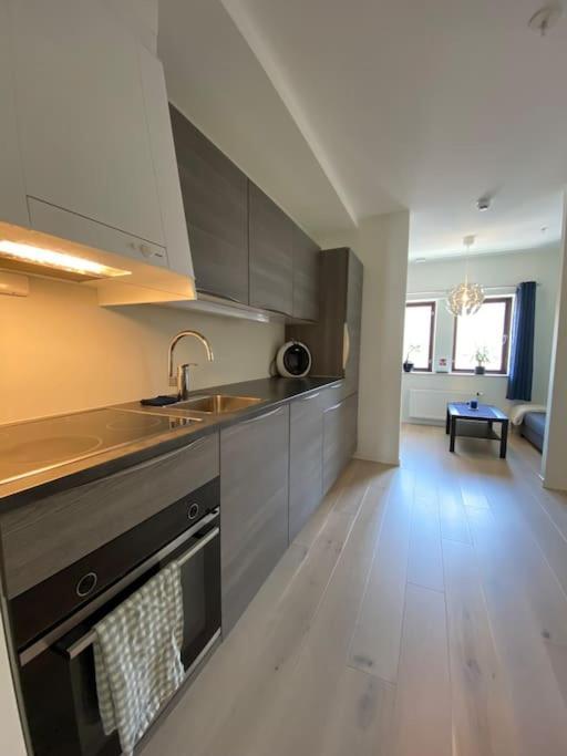 Moderne Leilighet Midt I Sentrum Av 프레드릭스타드 외부 사진
