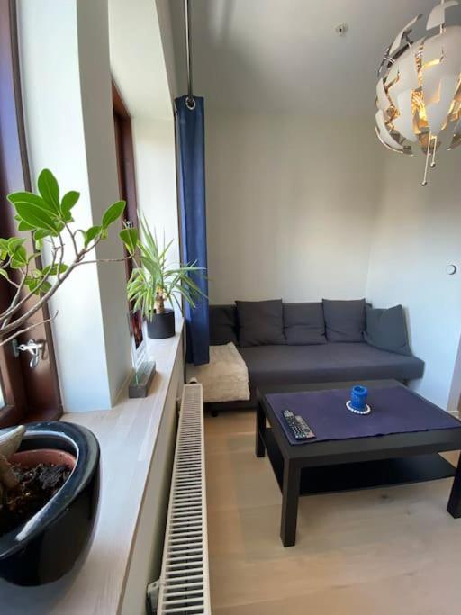Moderne Leilighet Midt I Sentrum Av 프레드릭스타드 외부 사진